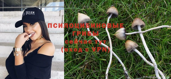 таблы Надым
