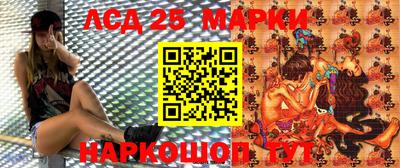 МДПВ Кандалакша