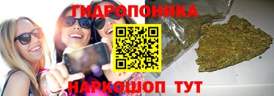 МДПВ Кандалакша