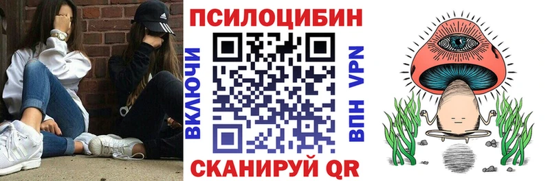 сколько стоит Скопин Галлюциногенные грибы Cubensis
